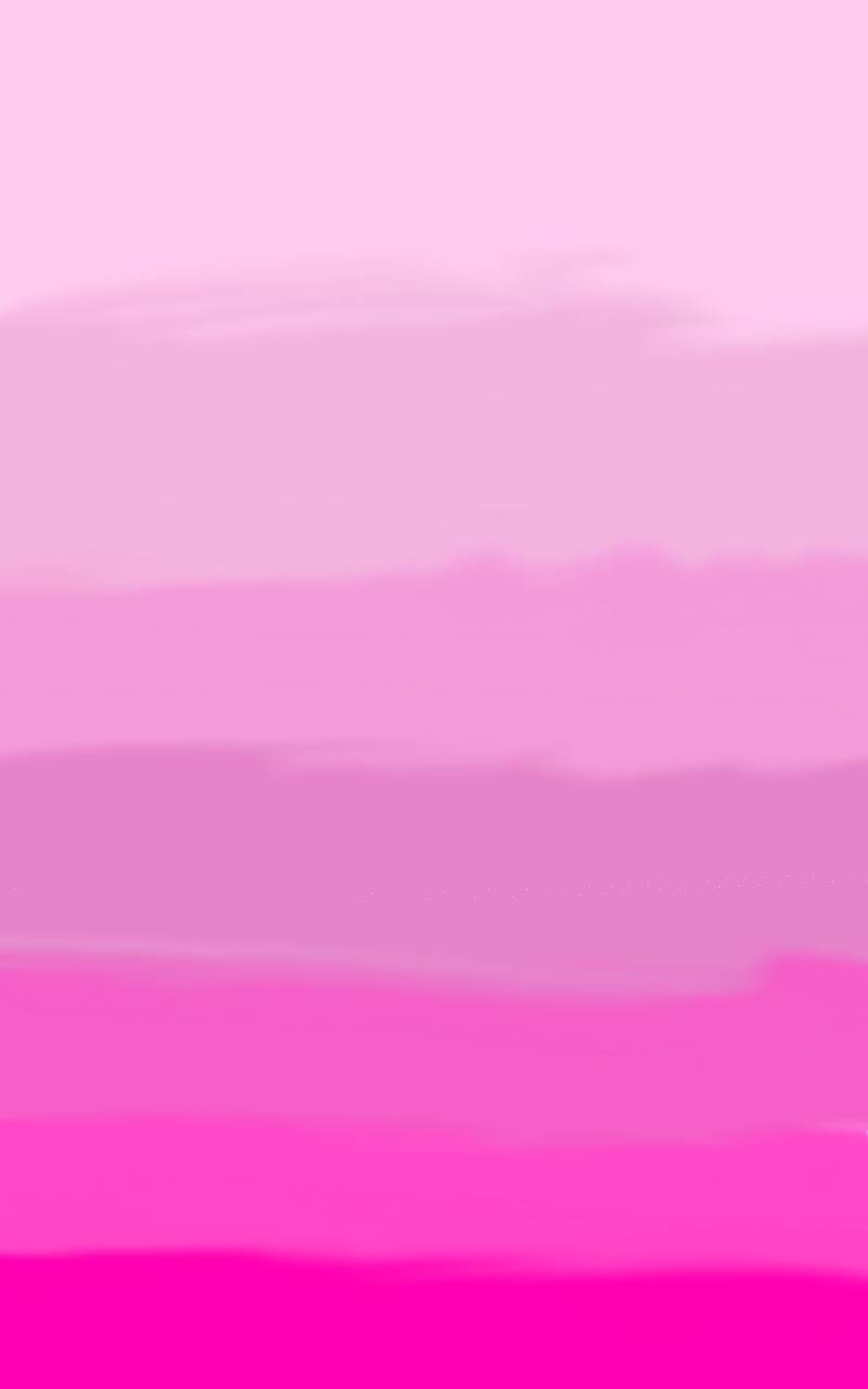 #옐로우 히어로 #2주차 #정호균 강사