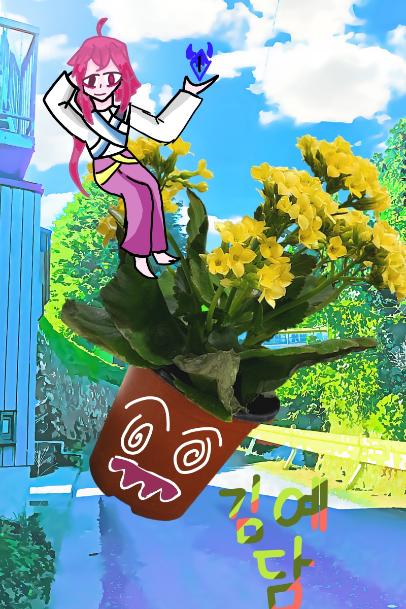 #옐로우 히어로 #3주차 #김성신 강사