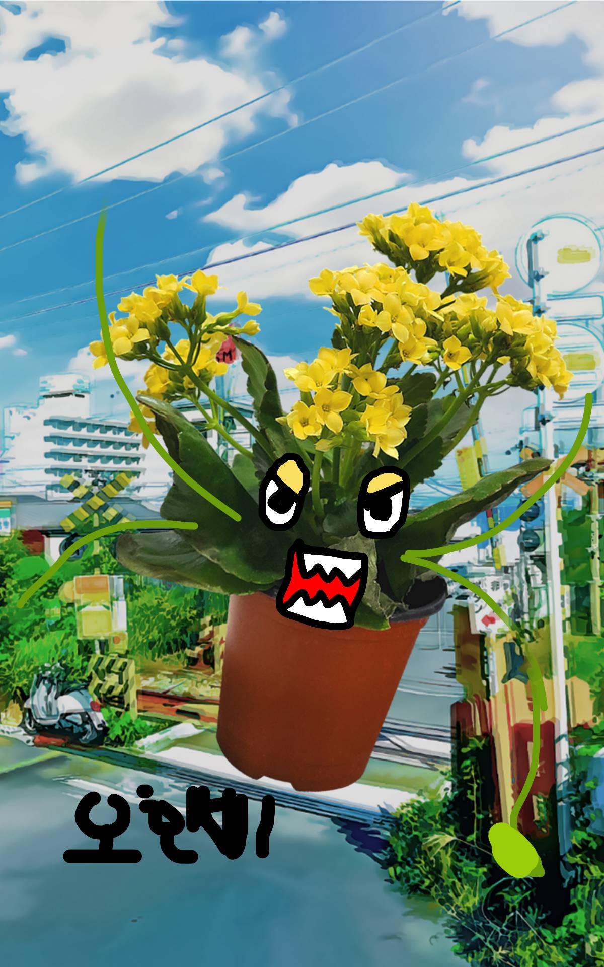 #옐로우 히어로 #3주차 #정미경 강사