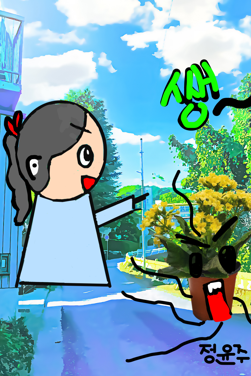 #옐로우 히어로 #3주차 #박재연 강사