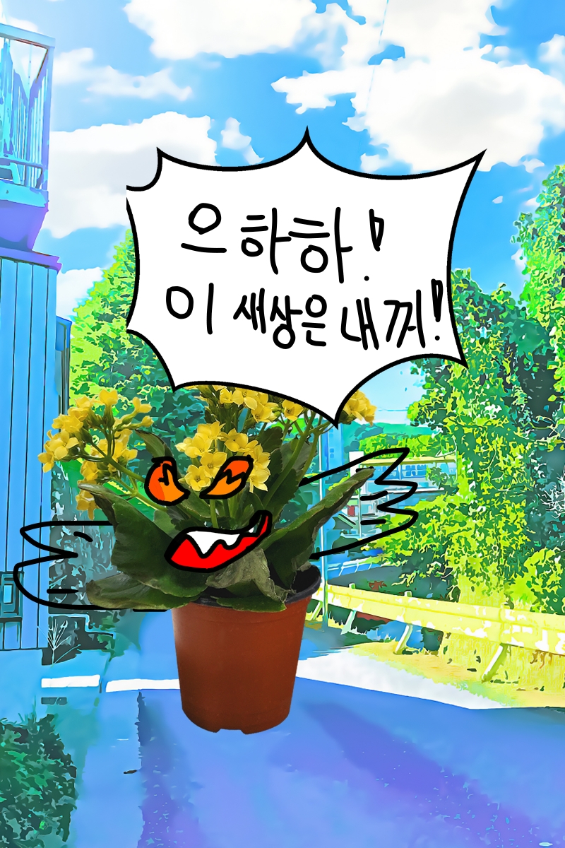 #옐로우 히어로 #3주차 #황선미 강사