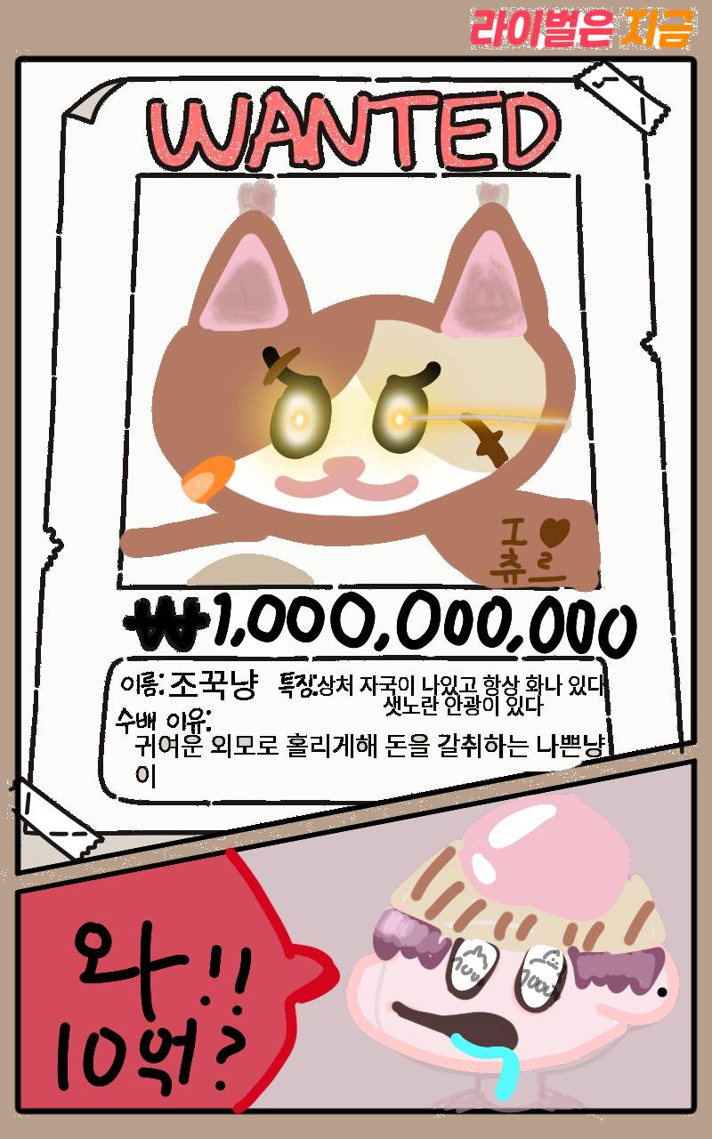 #무술 대결 #4주차 #성재민 강사