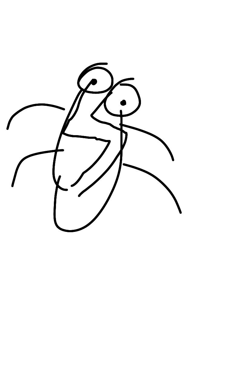 #두 왕국 이야기 Lite #3주차 #박정미 강사