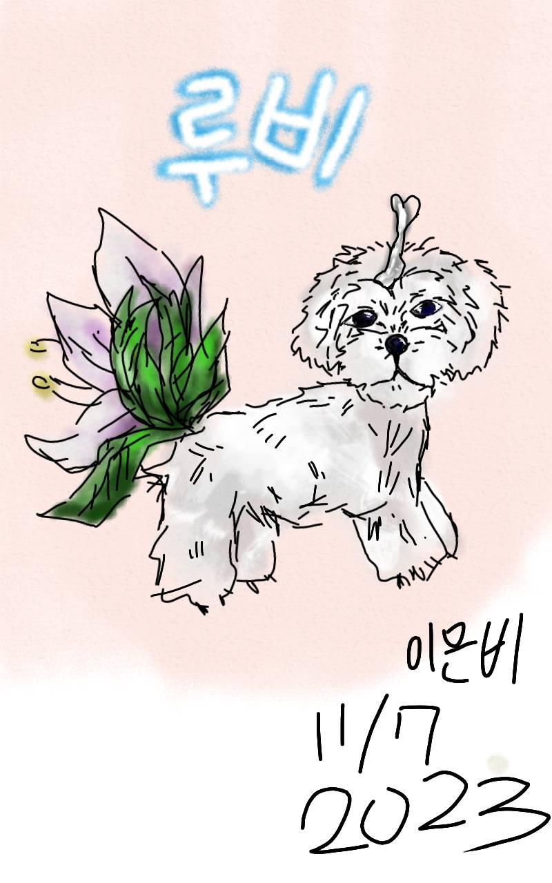 #수호자 라이안 #4주차 #노성규 강사