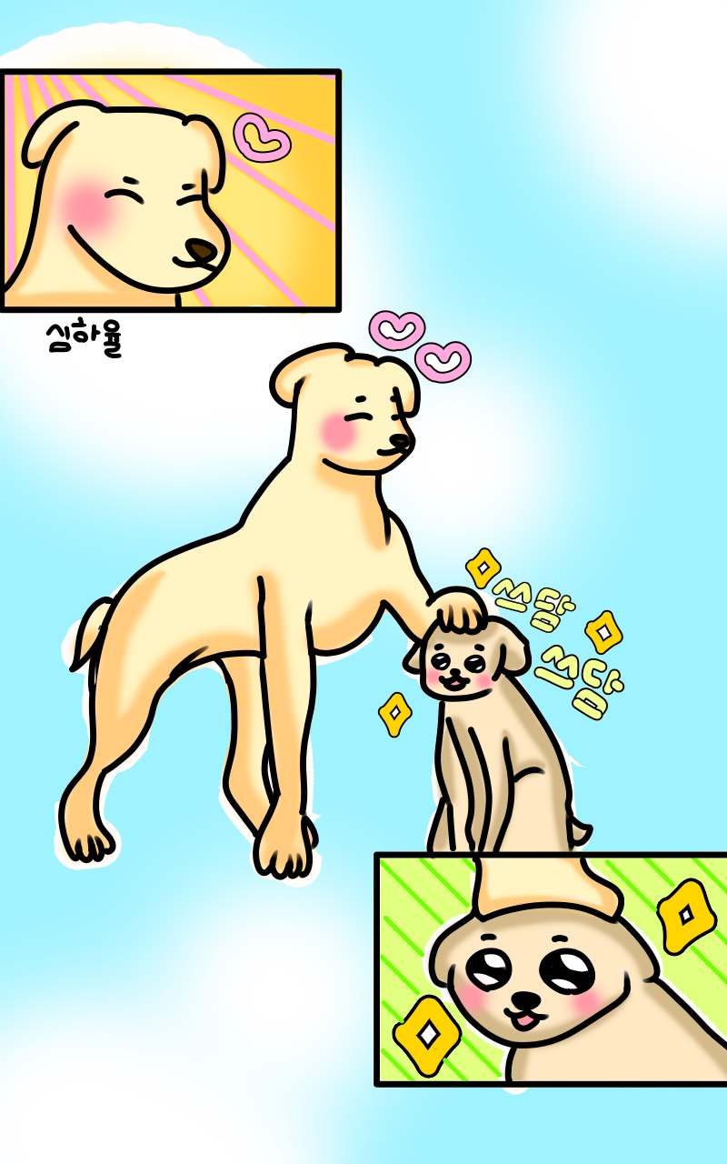 #동물 복원 합성 프로젝트 #1주차 #최선영강사 강사