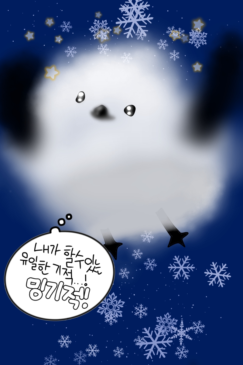#동물 복원 합성 프로젝트 #2주차 #최문희 강사