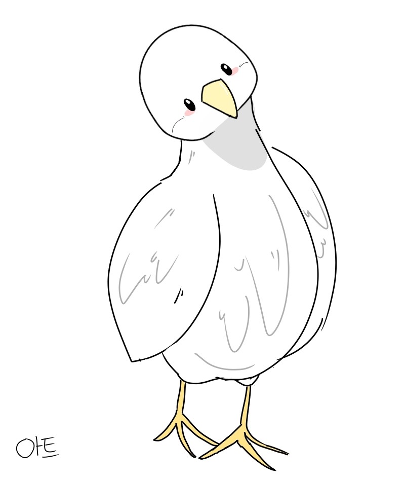 #동물 복원 합성 프로젝트 #화성청계초등학교 #최문희 강사
