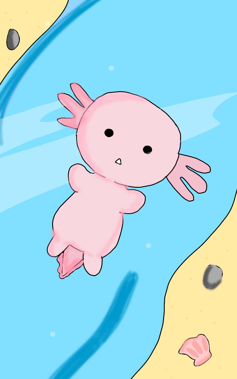 #동물 복원 합성 프로젝트 #서울지향초등학교 #오카상 강사