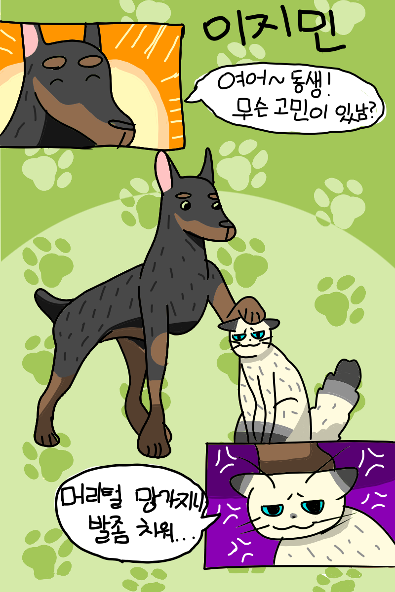 #동물 복원 합성 프로젝트 #4주차 #김미영 강사