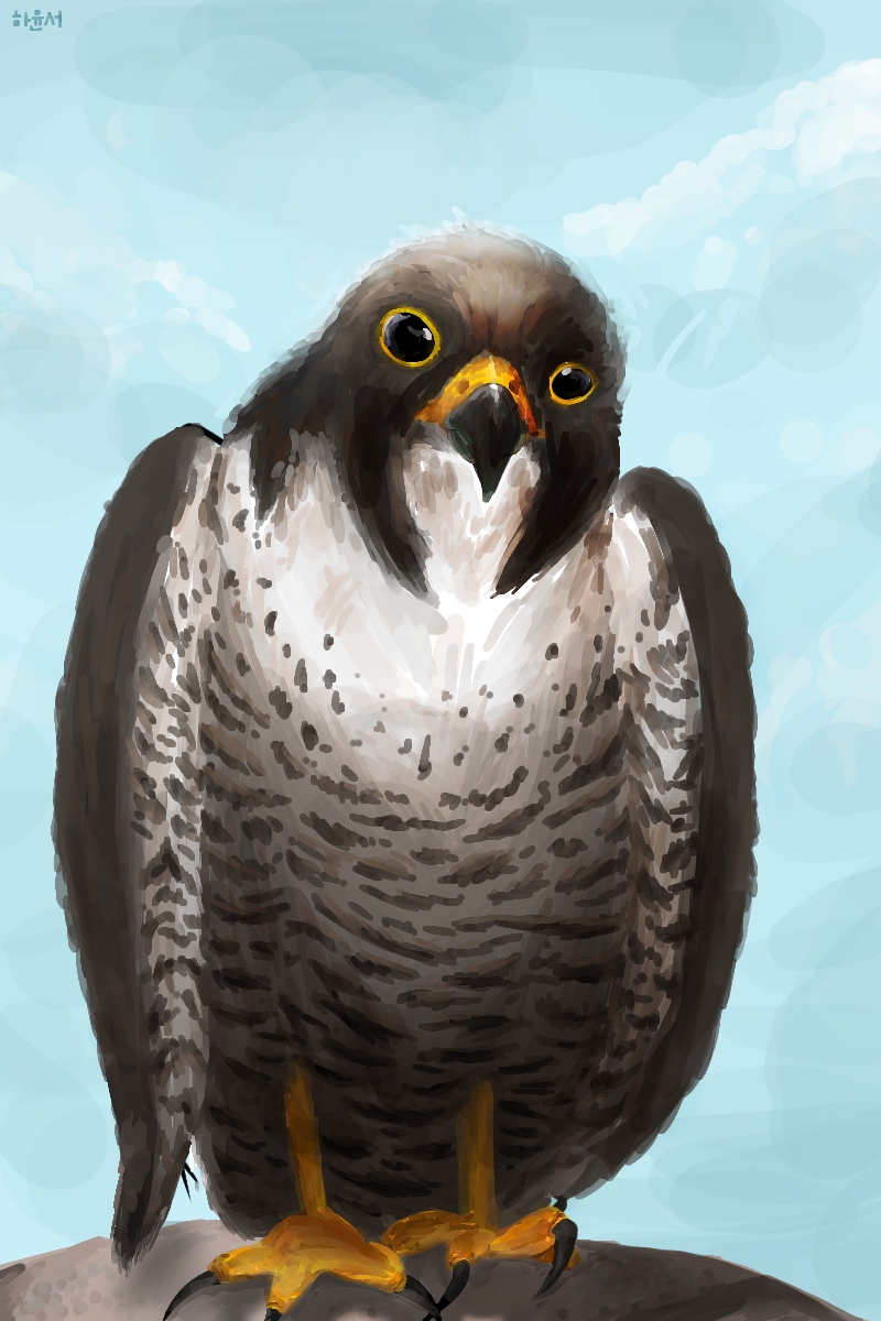 #동물 복원 합성 프로젝트 #2주차 #고아라 강사