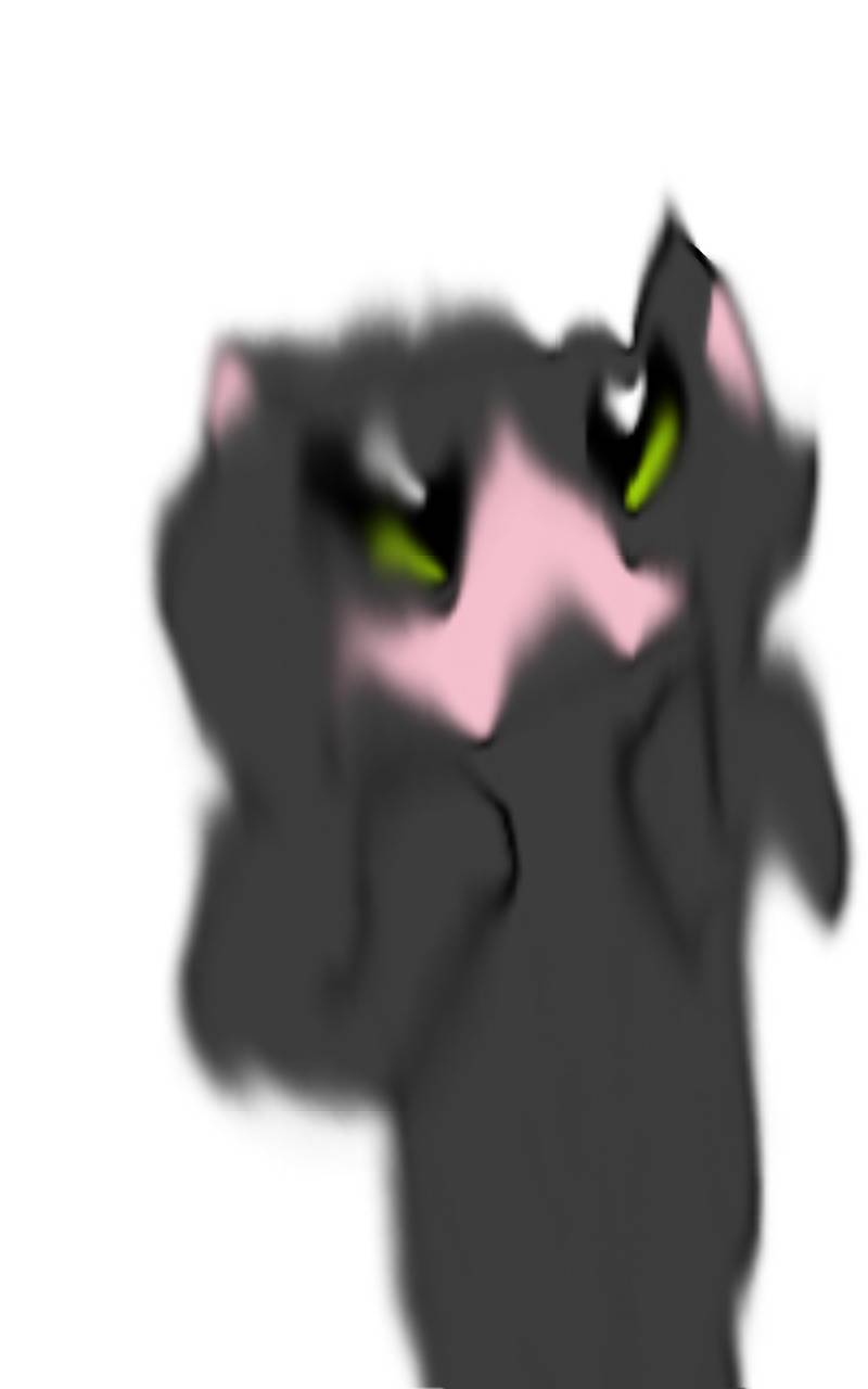 #마법 인형 가게 #1주차 #노현지 강사