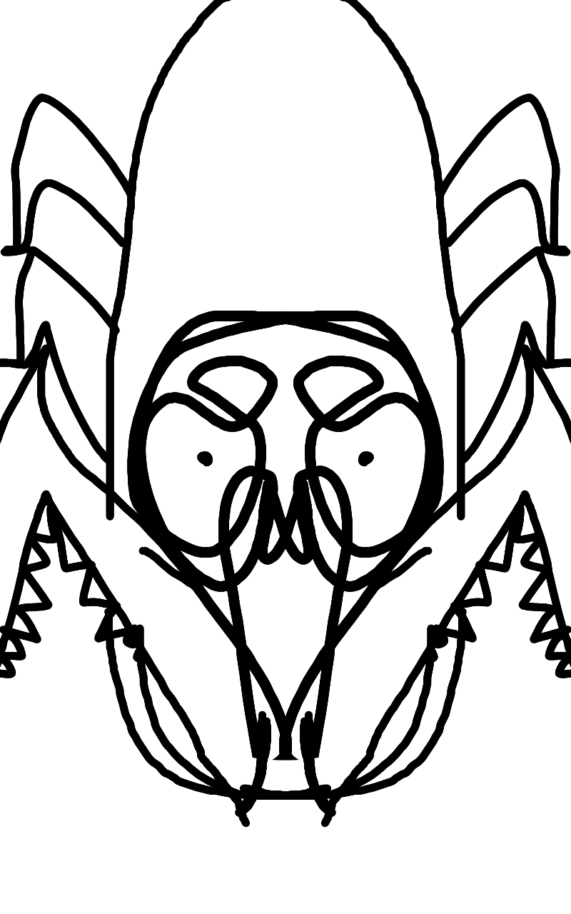 #수호자 라이안 Lite #4주차 #이연재 강사