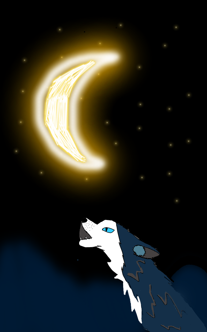 #로미와 달콤마을 Lite #1주차 #임갑숙 강사