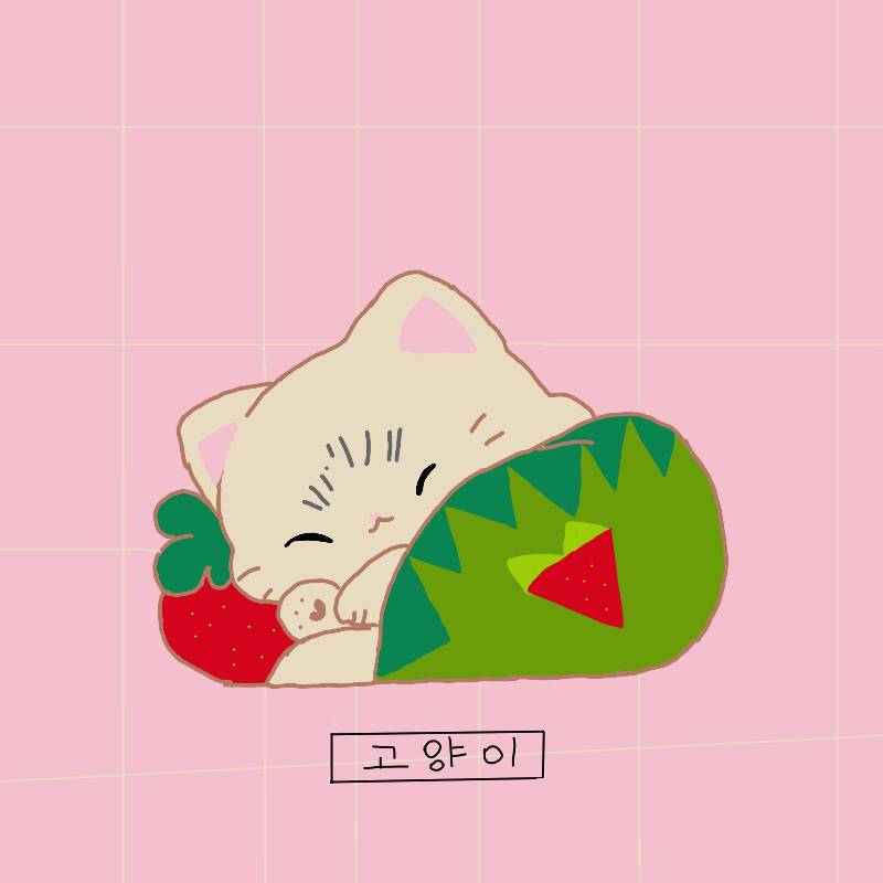 #로미와 달콤마을 Lite #서울성내초등학교 #김성신 강사