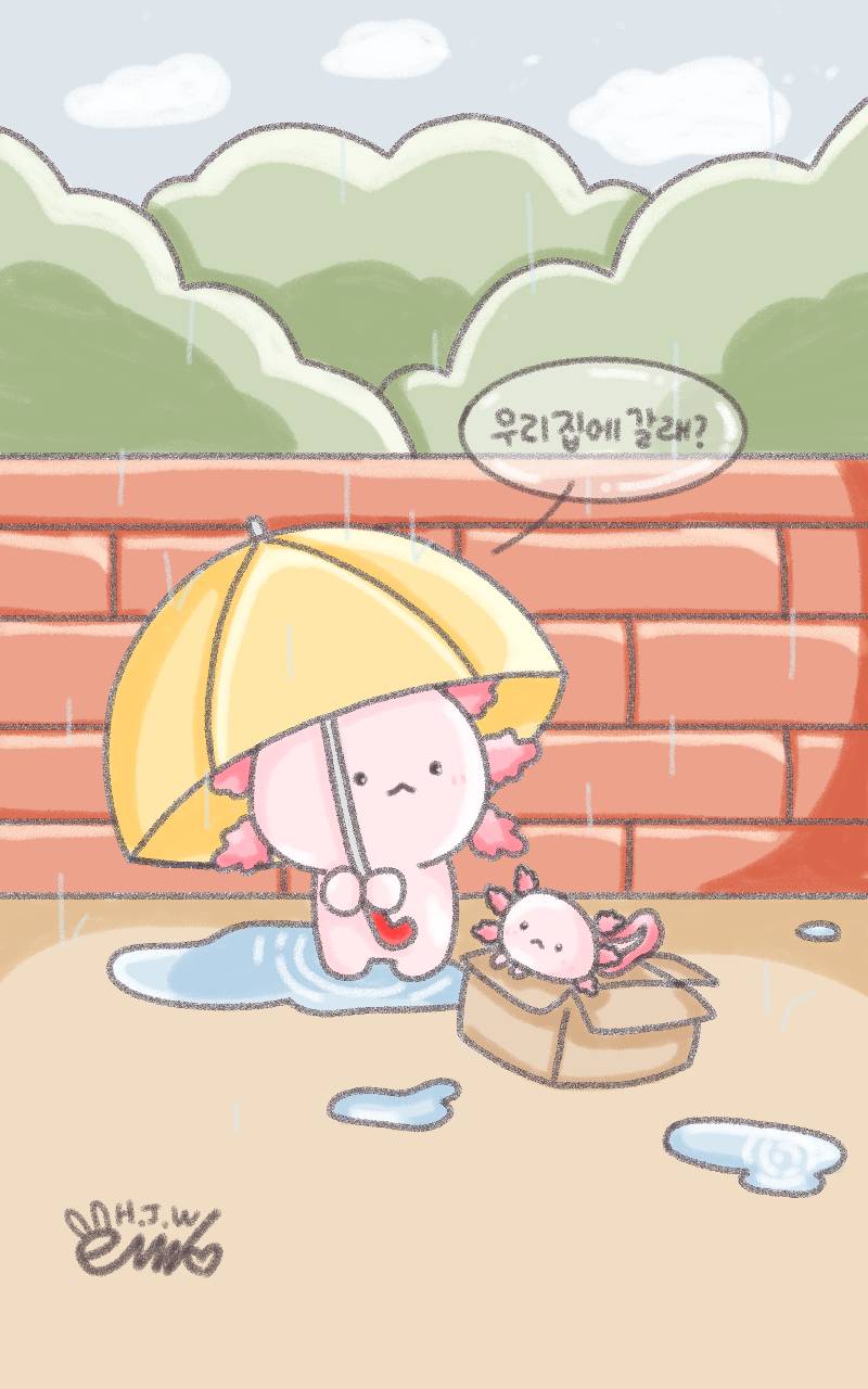 #도깨비와 구슬 #서울위례별초등학교 #정상희 강사