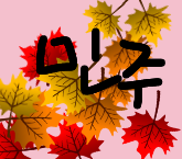 #로라와 어스의 우주 여행 Lite #2주차 #aldwl1027 강사